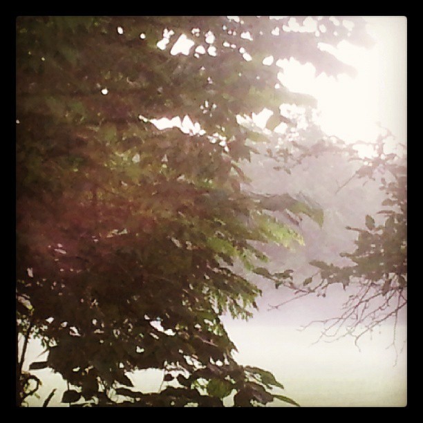 Mist @ 6