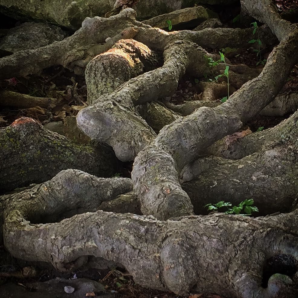 Tangles