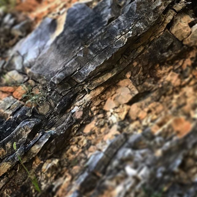 striated