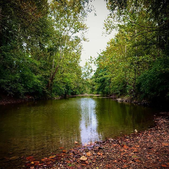Water’s edge