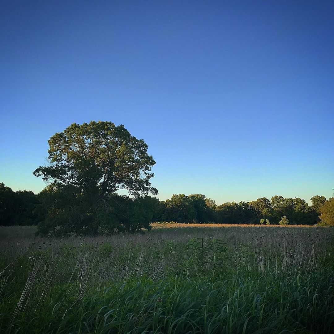 Near dusk